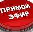 На площадке «Геометрии бизнеса» организованы ежедневные прямые эфиры - Администрация г. Кирсанова