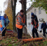 В Кирсанове прошел общегородской осенний субботник - Кирсанов.Онлайн